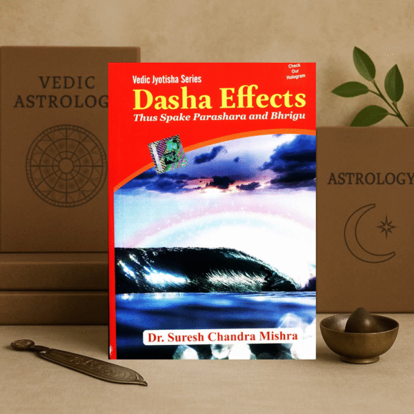 Dasha Effects Paperback