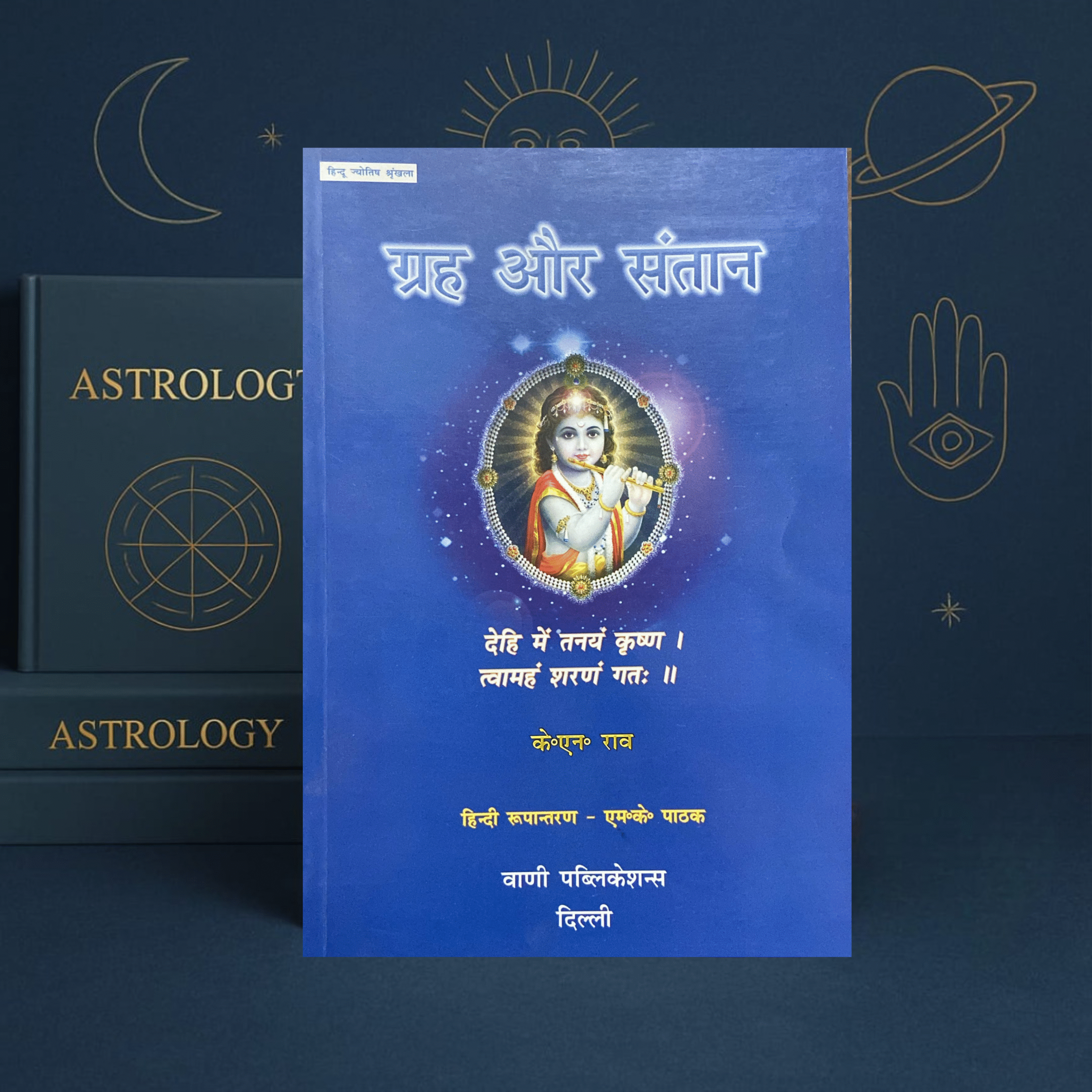 Grha Aur Santaan by K.N. Rao | Hindi Jyotish Book on Childbirth | Vani Publications