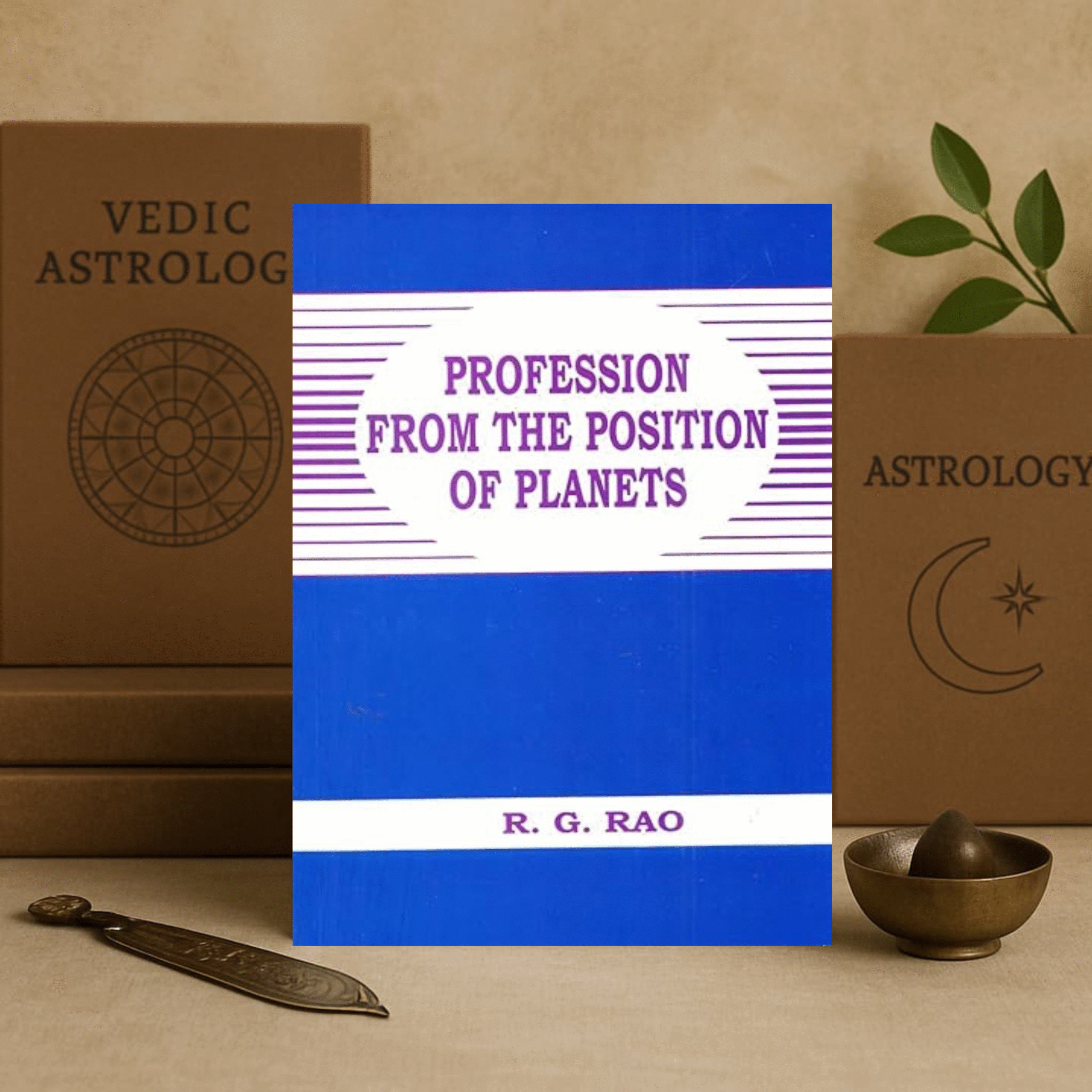 Profession From The Position Of Planets by R.G. Rao [English]