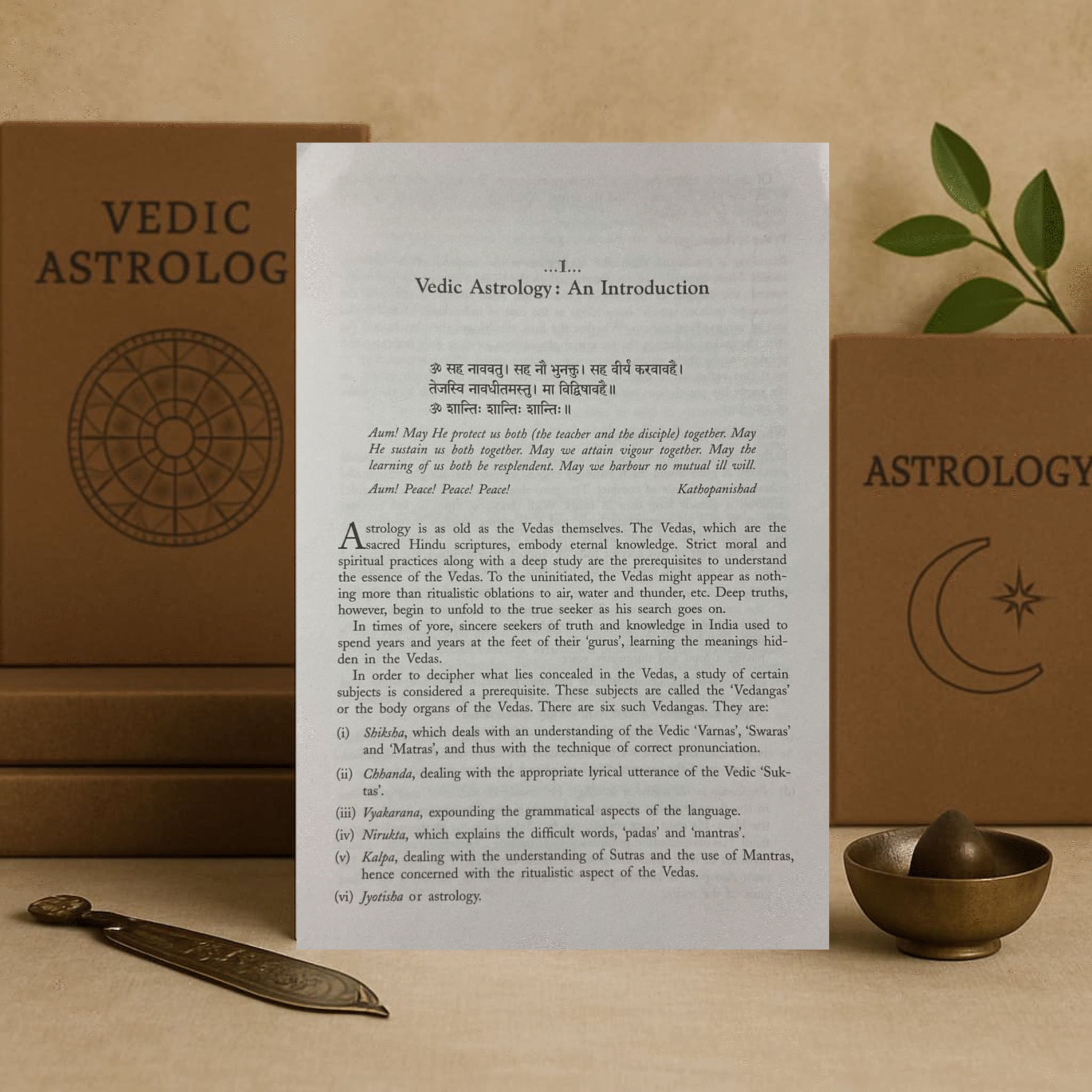 elements of vedic astrology paperback