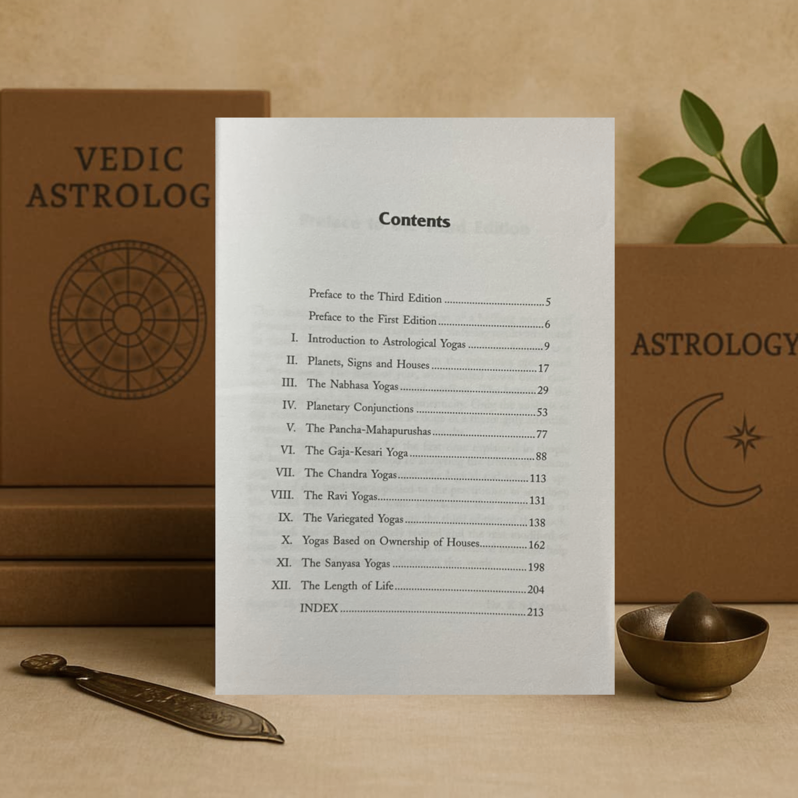 yogas in astrology paperback