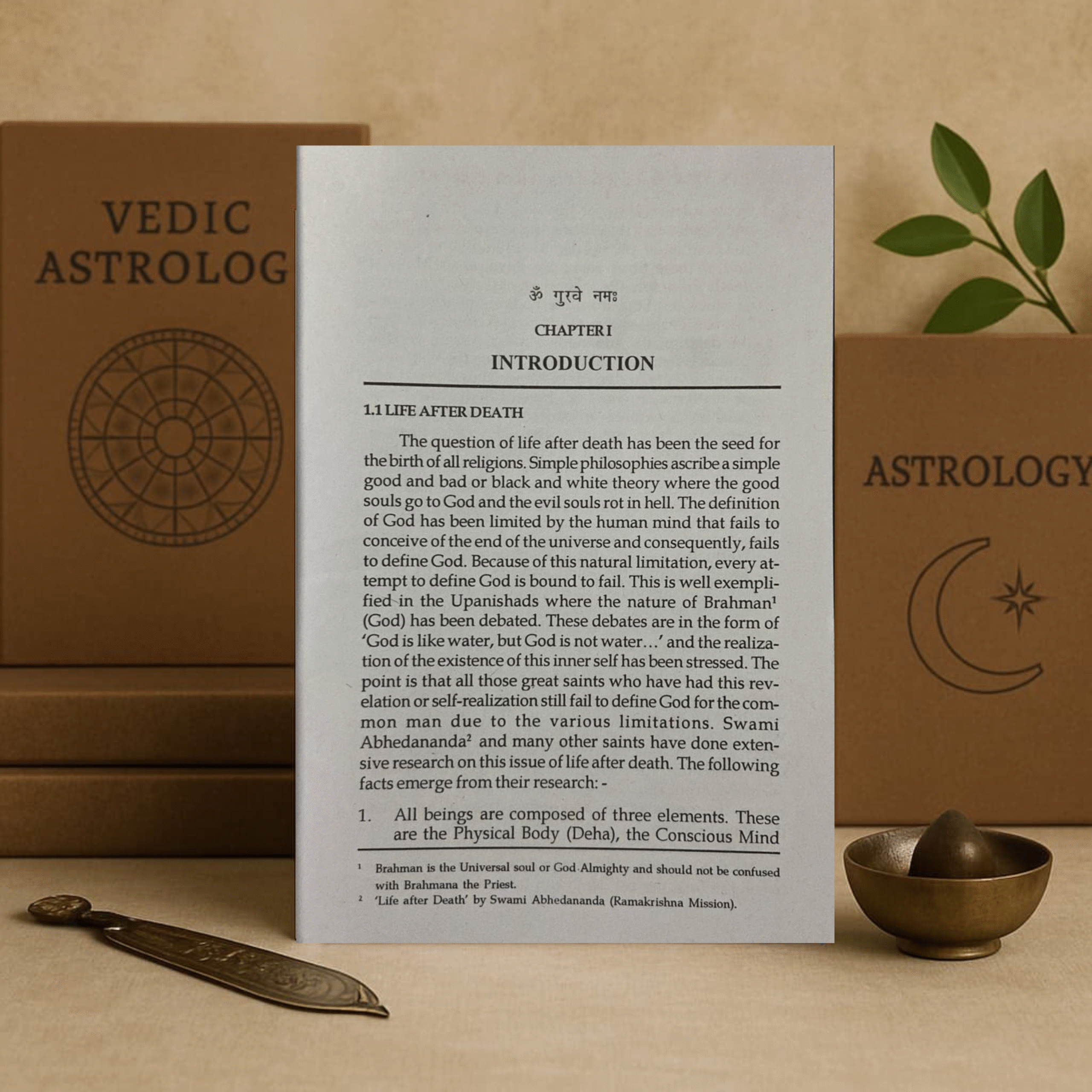vedic remedies in astrology paperback