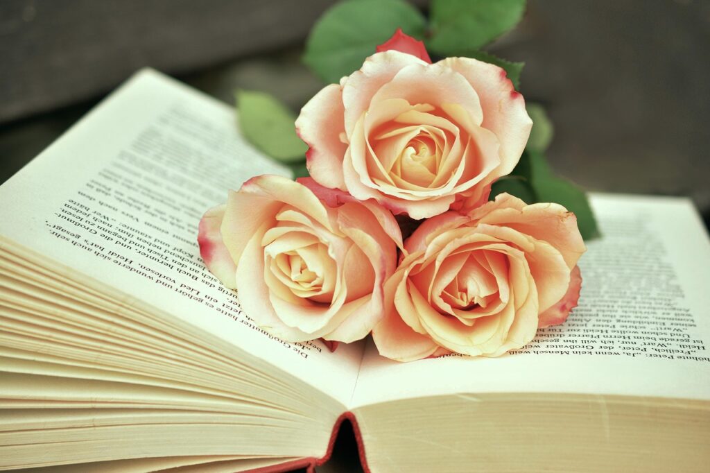 book book