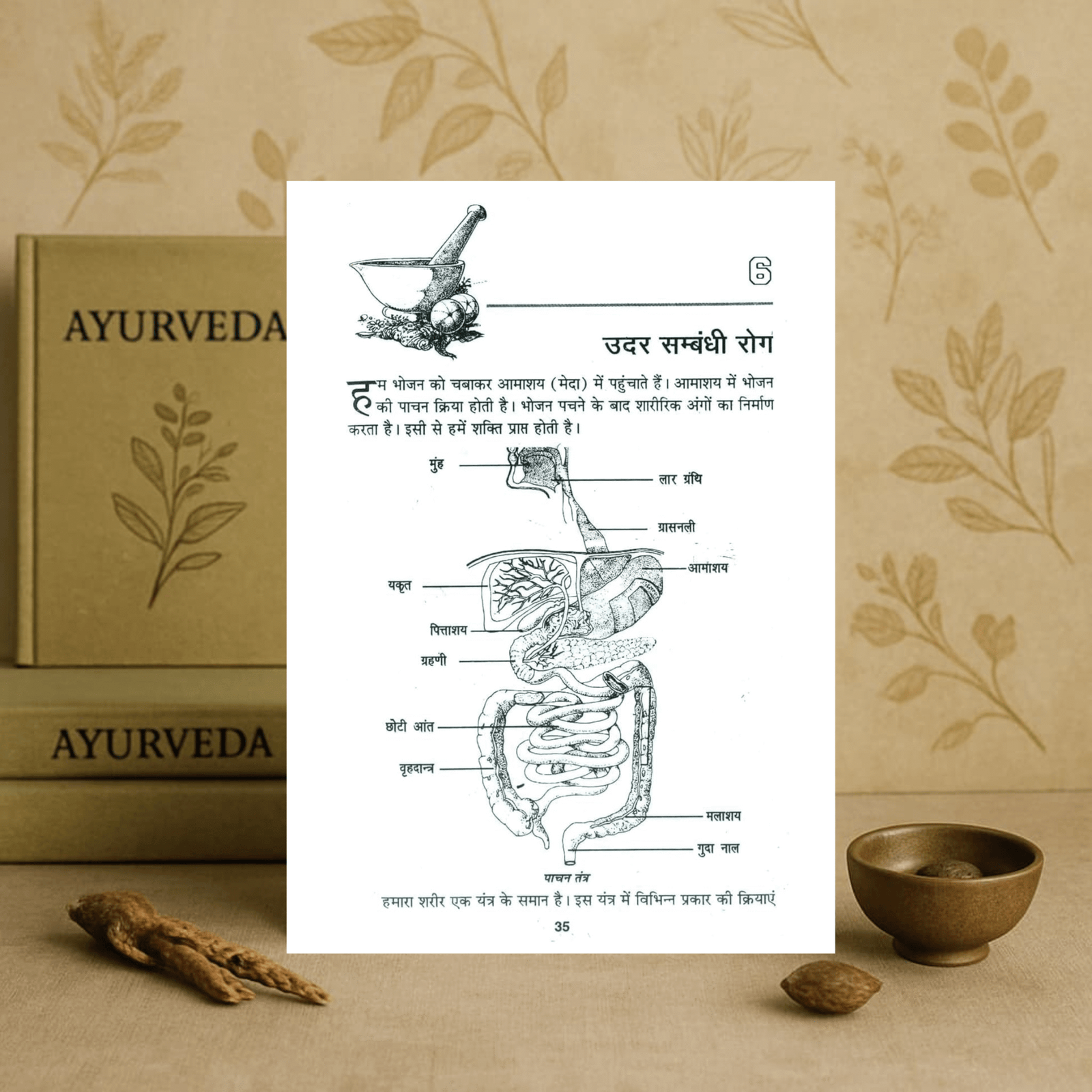 Dadi Maa Ke Gharelu Nuskhe दादी मां के घरेलू नुस्खे | Swasthya Vigyaan : Swasthya Paddhatiyaan in Hindi - Image 6