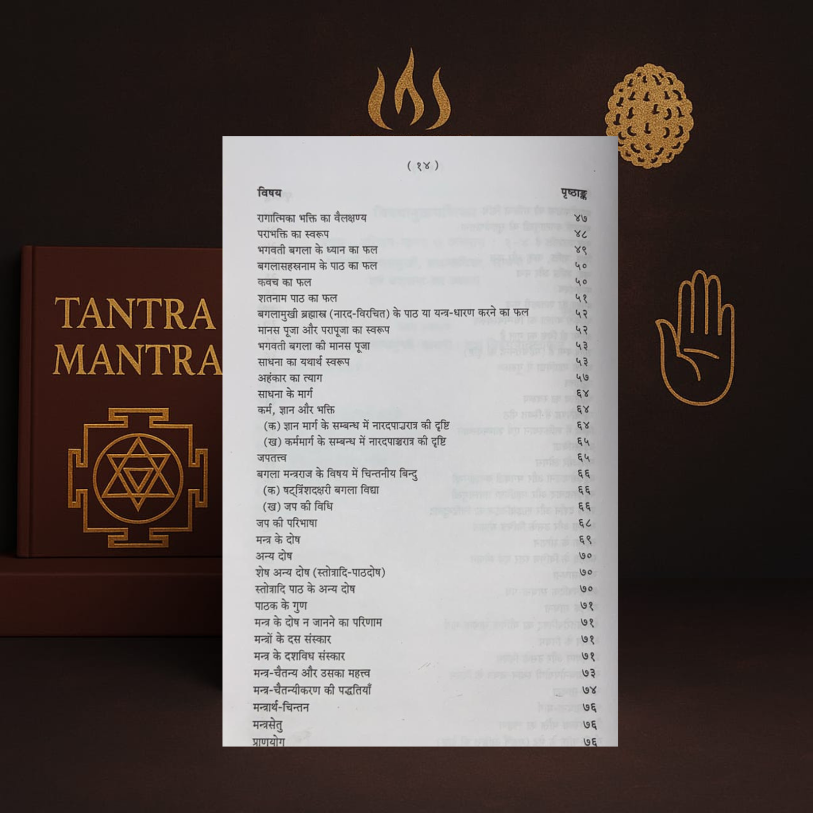 Brahmastra Vidya evam Baglamukhi Sadhana Hindi Book | Chaukhamba Parkashan | kitabkunj - Image 3