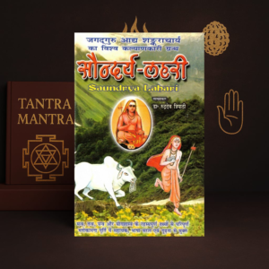 Saundarya Lahari Hindi Book | Adi Shankaracharya Stotra Granth | by Dr. Rudradev Tripathi